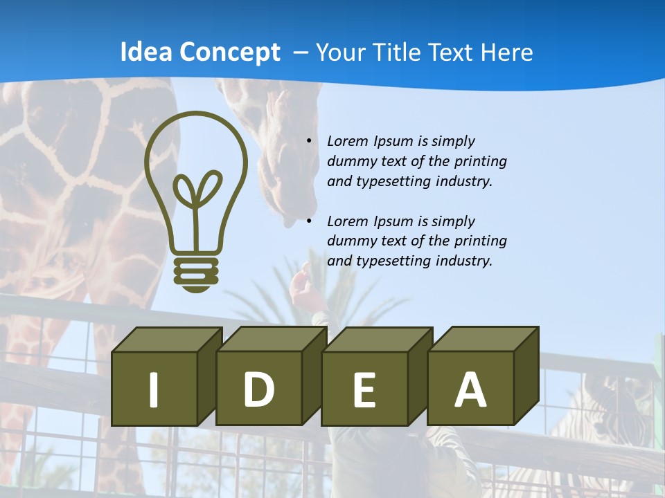 A Giraffe And A Zebra In A Fenced In Area PowerPoint Template