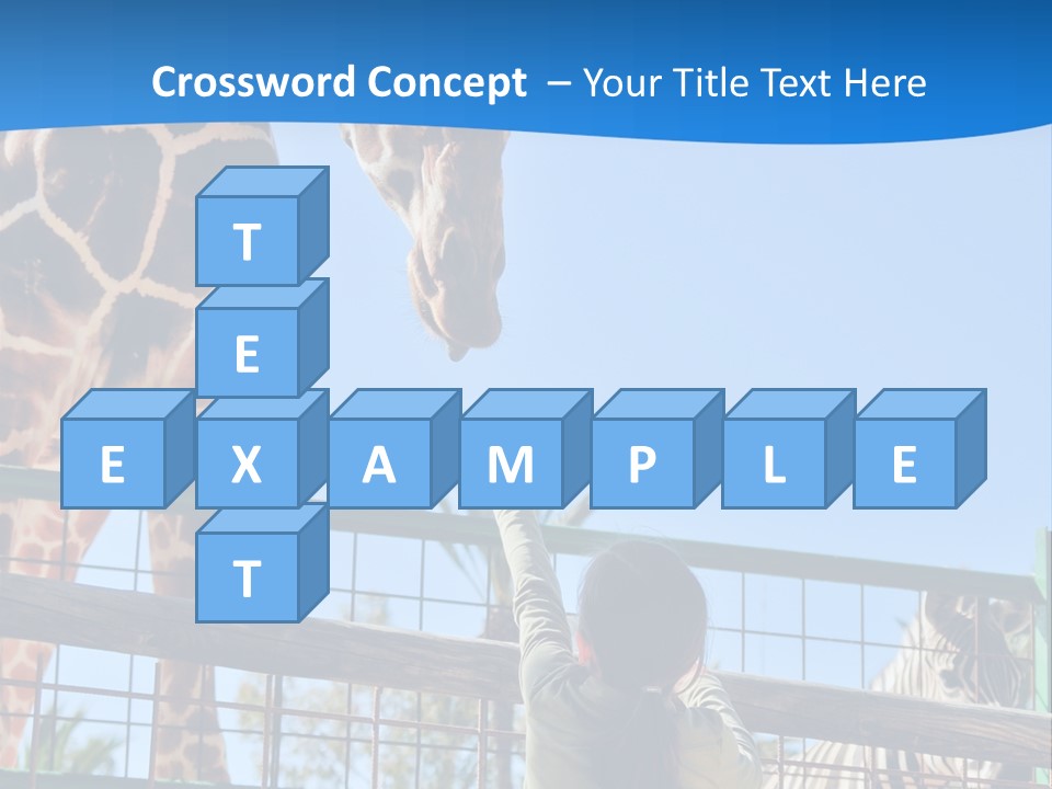 A Giraffe And A Zebra In A Fenced In Area PowerPoint Template