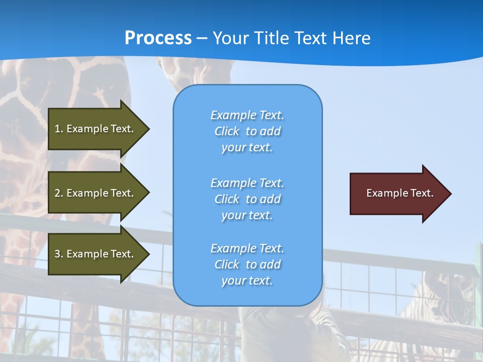 A Giraffe And A Zebra In A Fenced In Area PowerPoint Template