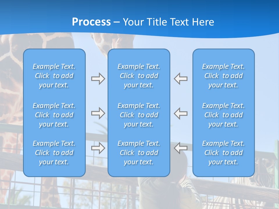 A Giraffe And A Zebra In A Fenced In Area PowerPoint Template