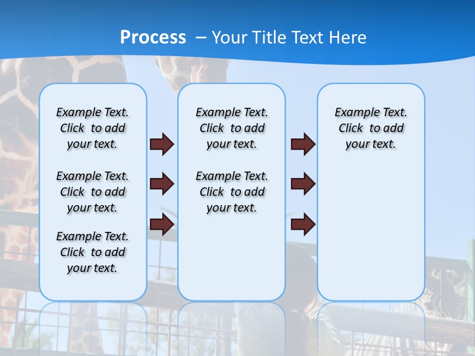 A Giraffe And A Zebra In A Fenced In Area PowerPoint Template