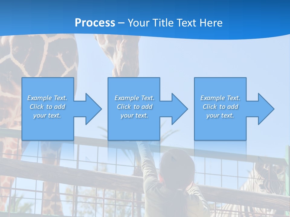 A Giraffe And A Zebra In A Fenced In Area PowerPoint Template