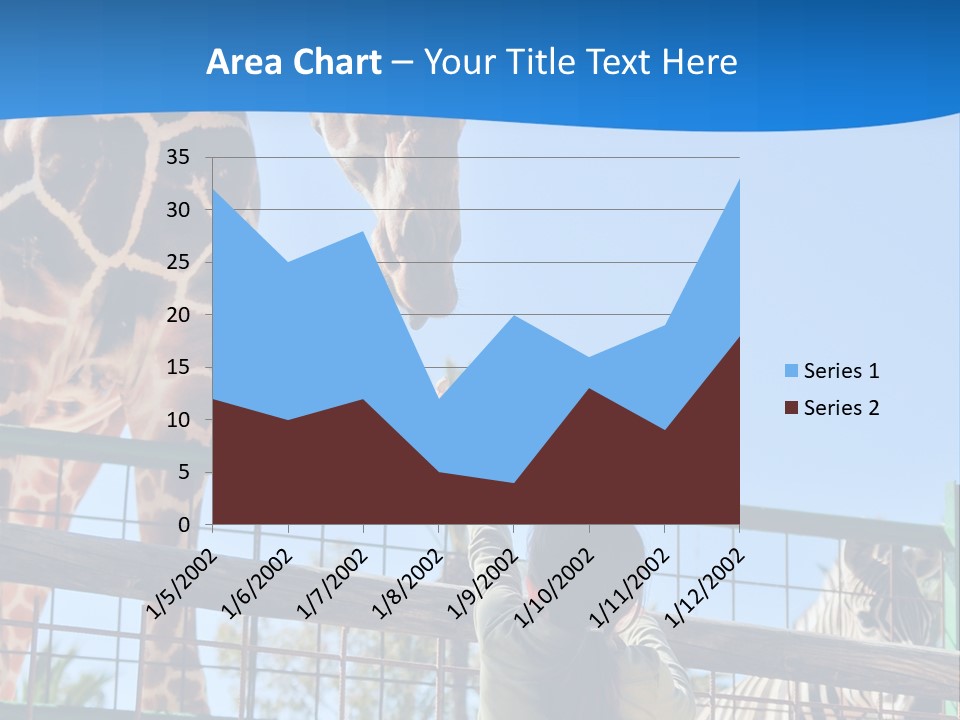 A Giraffe And A Zebra In A Fenced In Area PowerPoint Template