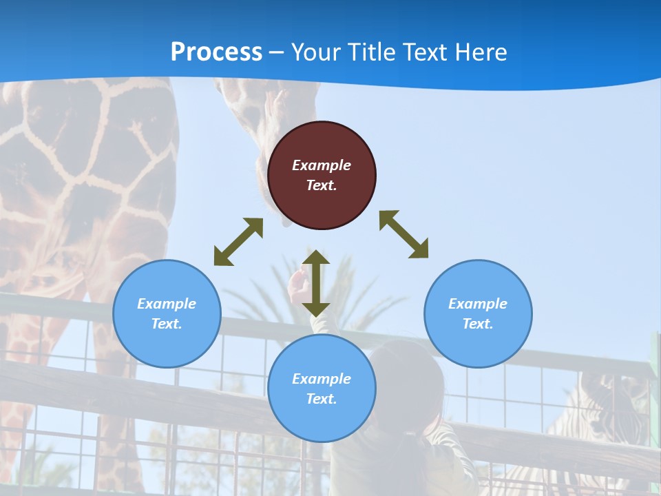 A Giraffe And A Zebra In A Fenced In Area PowerPoint Template