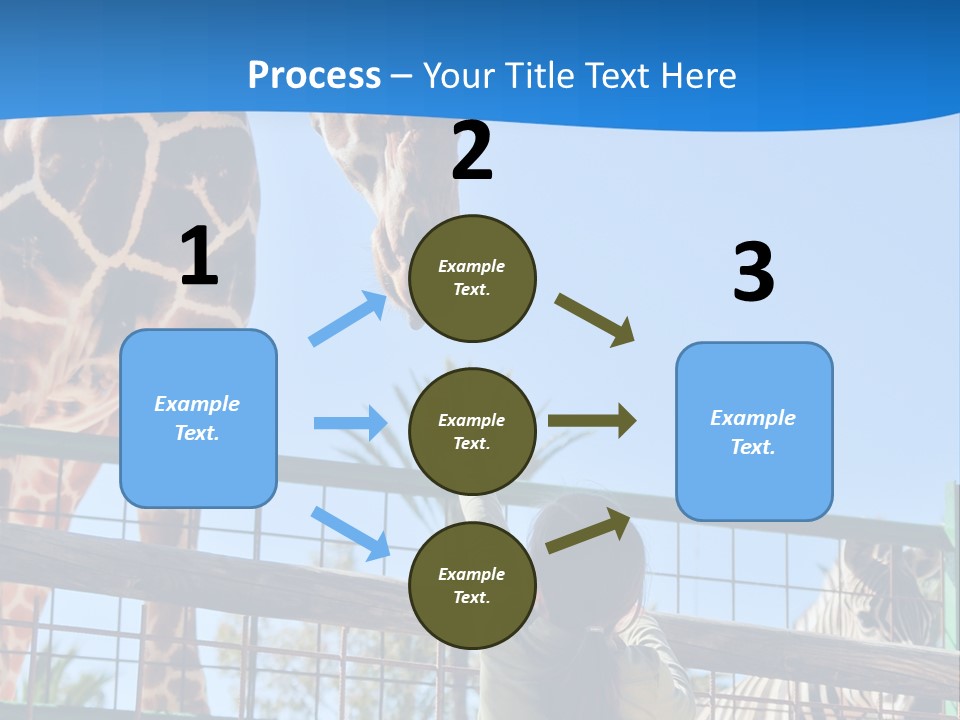A Giraffe And A Zebra In A Fenced In Area PowerPoint Template