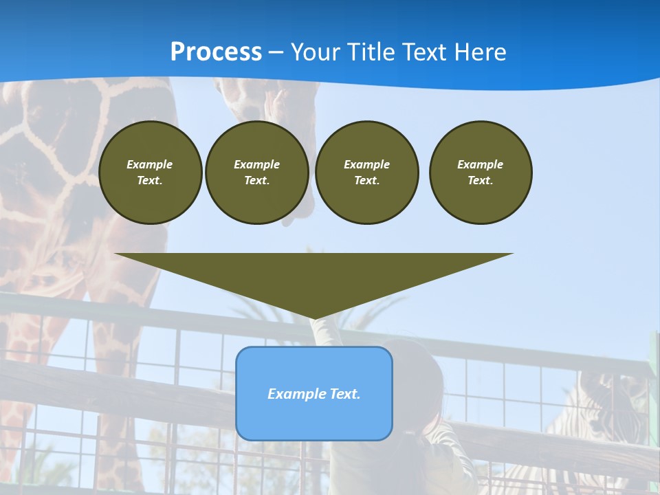 A Giraffe And A Zebra In A Fenced In Area PowerPoint Template