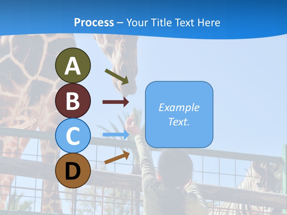 A Giraffe And A Zebra In A Fenced In Area PowerPoint Template