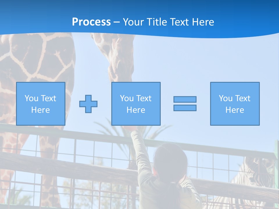 A Giraffe And A Zebra In A Fenced In Area PowerPoint Template