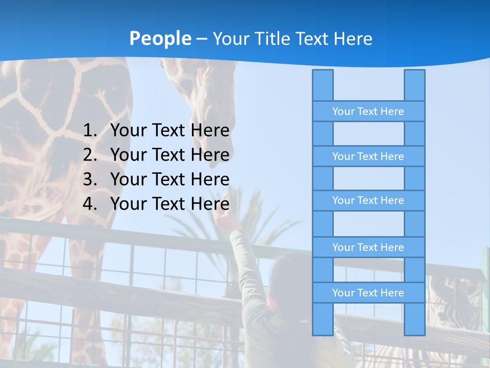 A Giraffe And A Zebra In A Fenced In Area PowerPoint Template