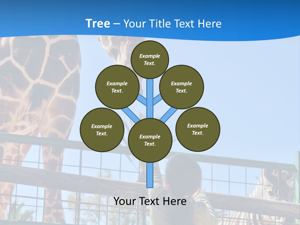 A Giraffe And A Zebra In A Fenced In Area PowerPoint Template