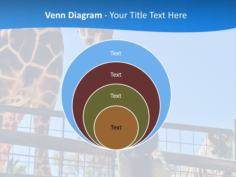 A Giraffe And A Zebra In A Fenced In Area PowerPoint Template