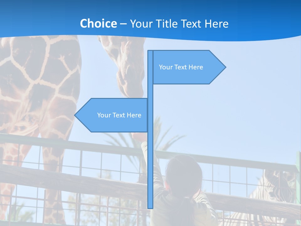 A Giraffe And A Zebra In A Fenced In Area PowerPoint Template