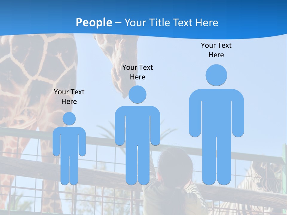 A Giraffe And A Zebra In A Fenced In Area PowerPoint Template