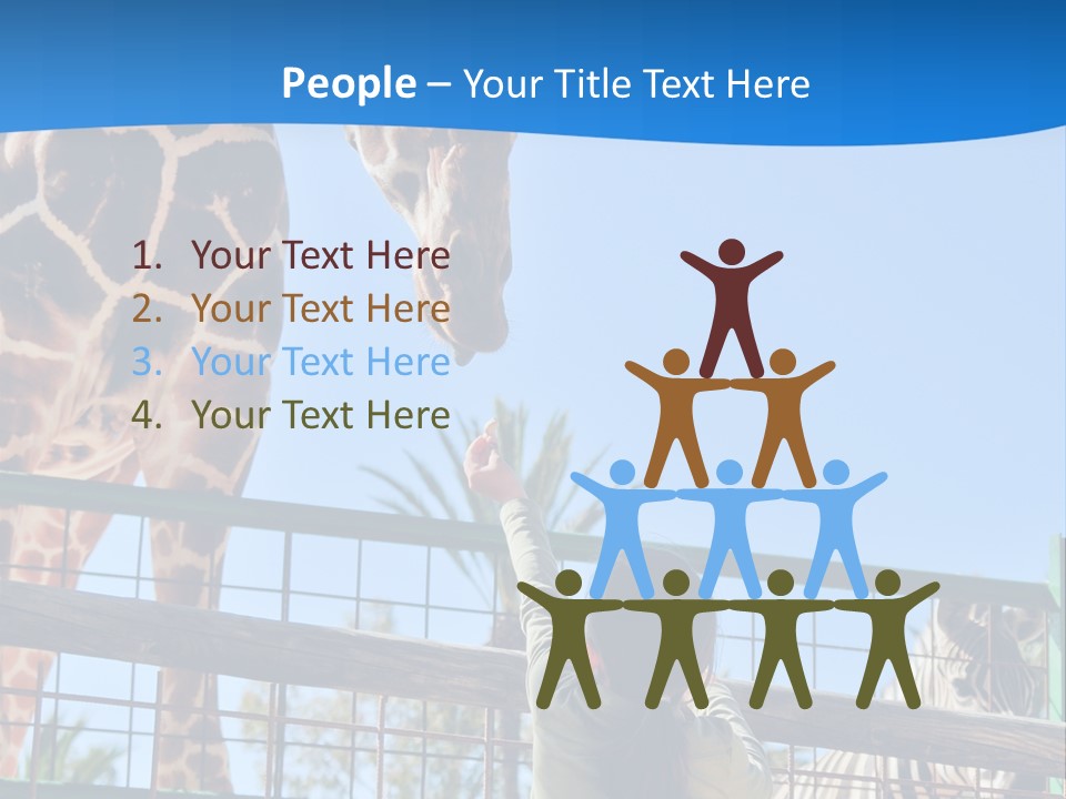 A Giraffe And A Zebra In A Fenced In Area PowerPoint Template