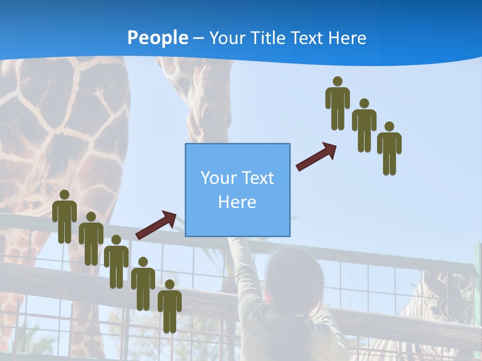 A Giraffe And A Zebra In A Fenced In Area PowerPoint Template