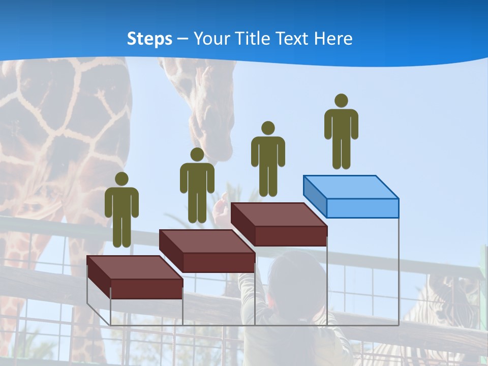 A Giraffe And A Zebra In A Fenced In Area PowerPoint Template