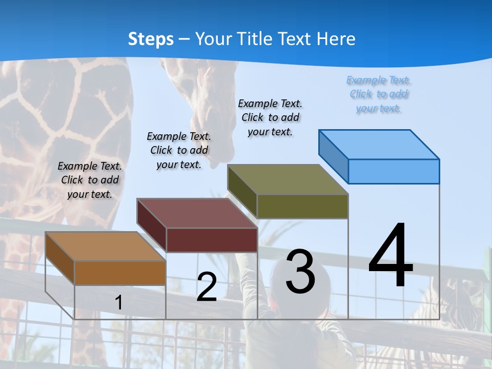 A Giraffe And A Zebra In A Fenced In Area PowerPoint Template