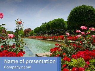 A Garden Filled With Lots Of Red Flowers PowerPoint Template