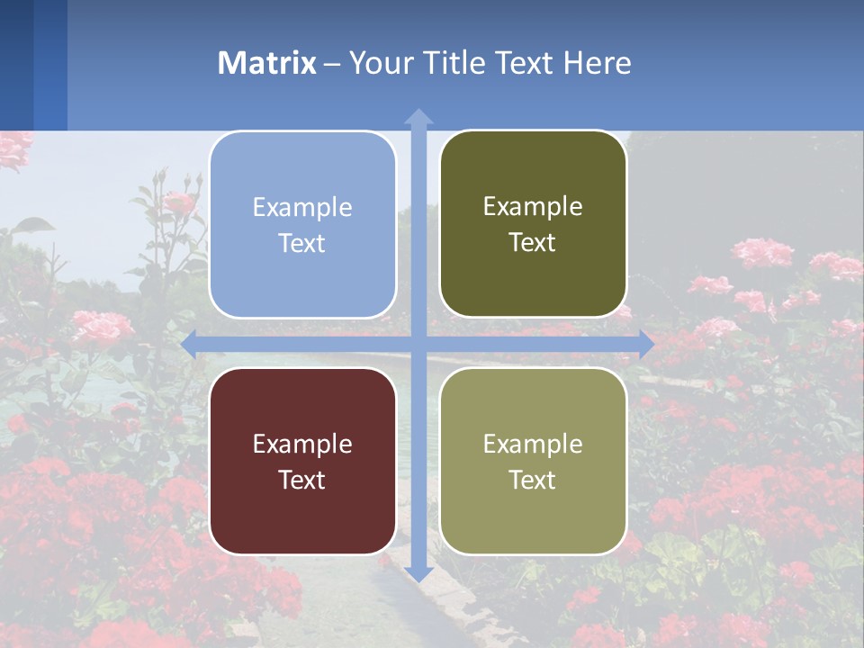 A Garden Filled With Lots Of Red Flowers PowerPoint Template