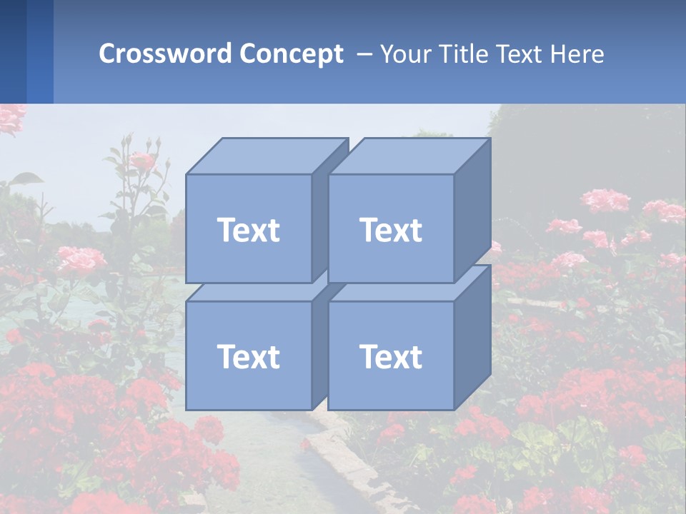 A Garden Filled With Lots Of Red Flowers PowerPoint Template