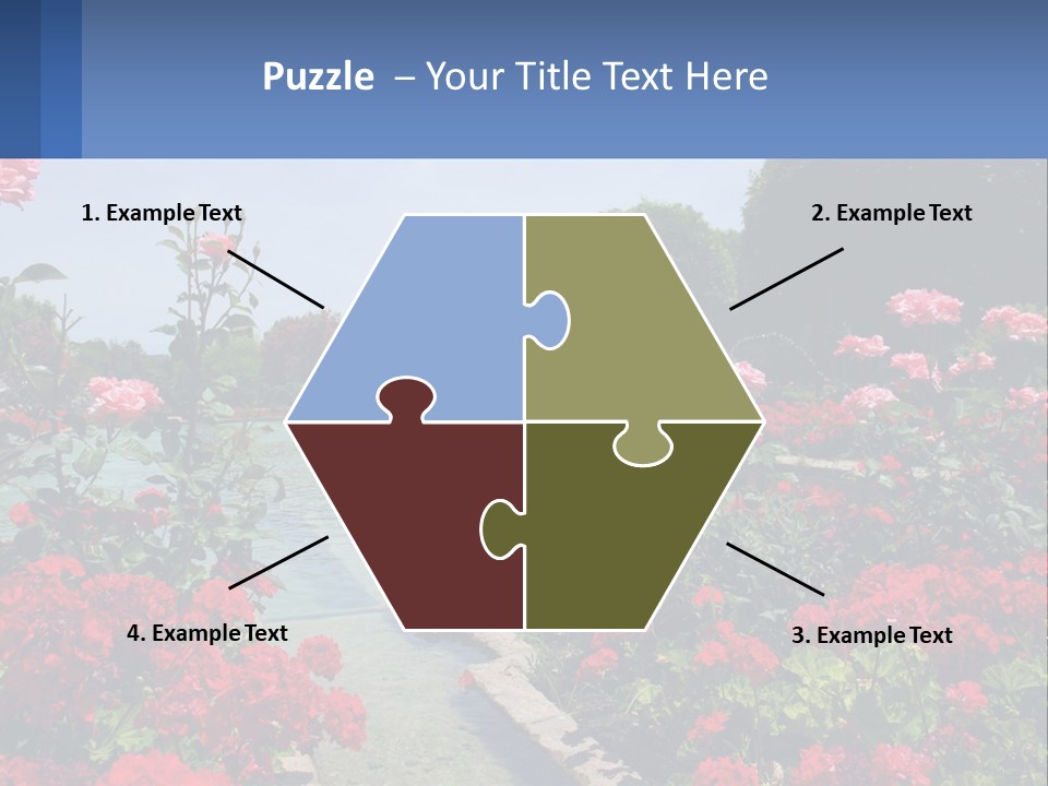 A Garden Filled With Lots Of Red Flowers PowerPoint Template