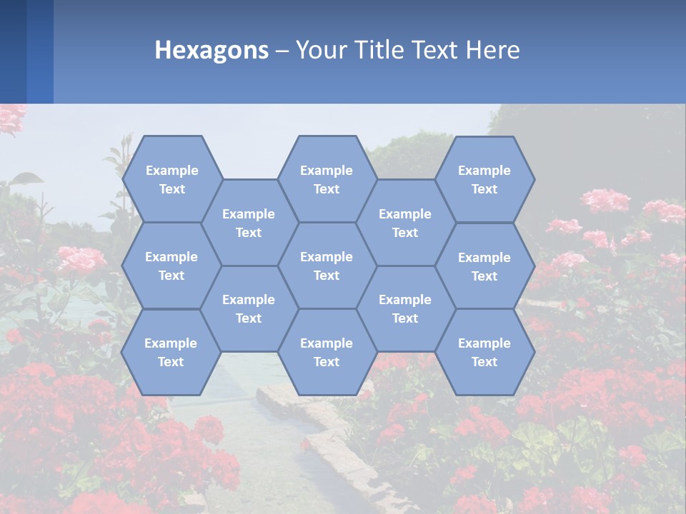 A Garden Filled With Lots Of Red Flowers PowerPoint Template