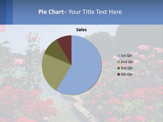 A Garden Filled With Lots Of Red Flowers PowerPoint Template