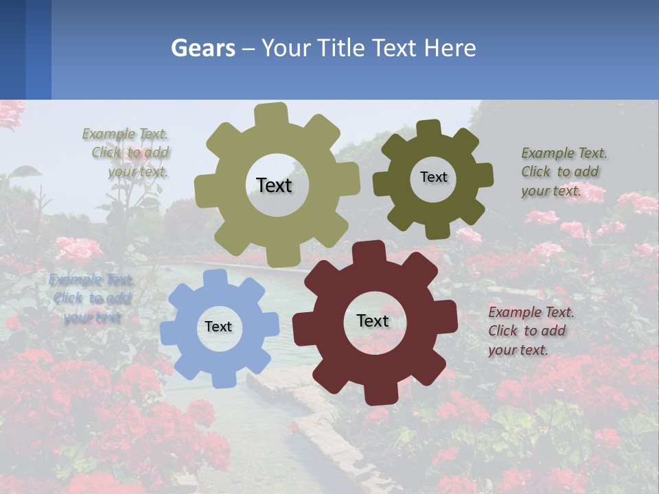 A Garden Filled With Lots Of Red Flowers PowerPoint Template