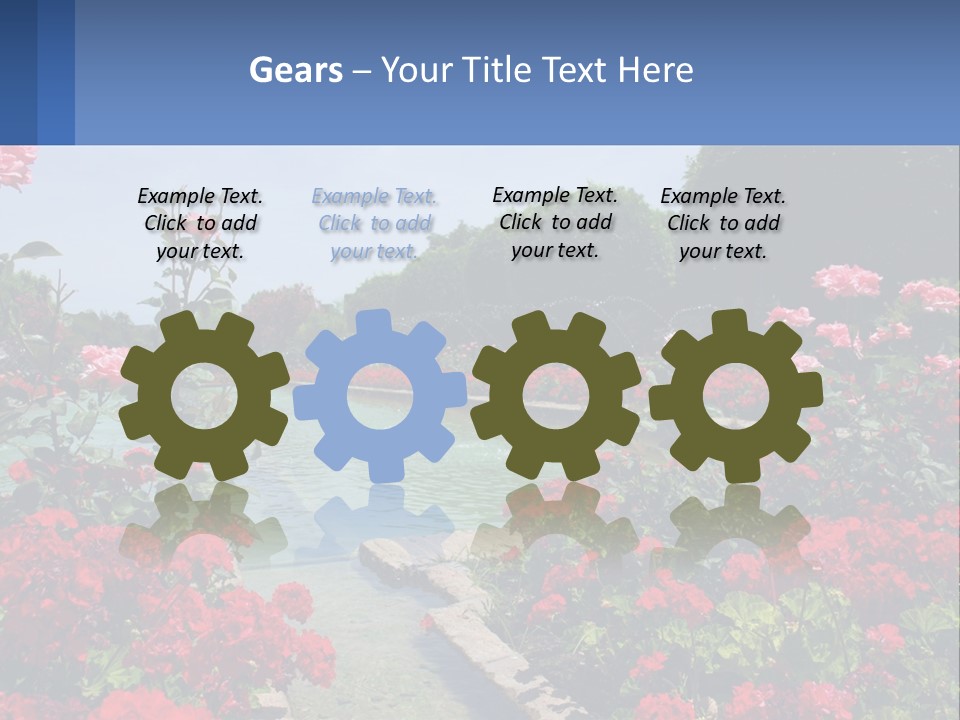 A Garden Filled With Lots Of Red Flowers PowerPoint Template