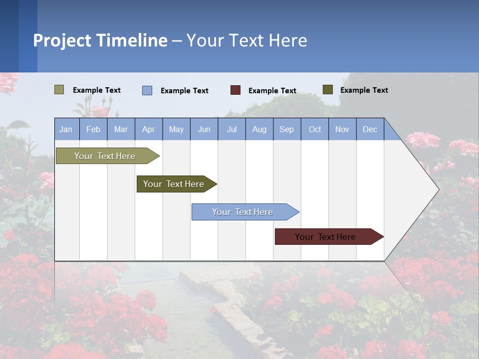 A Garden Filled With Lots Of Red Flowers PowerPoint Template