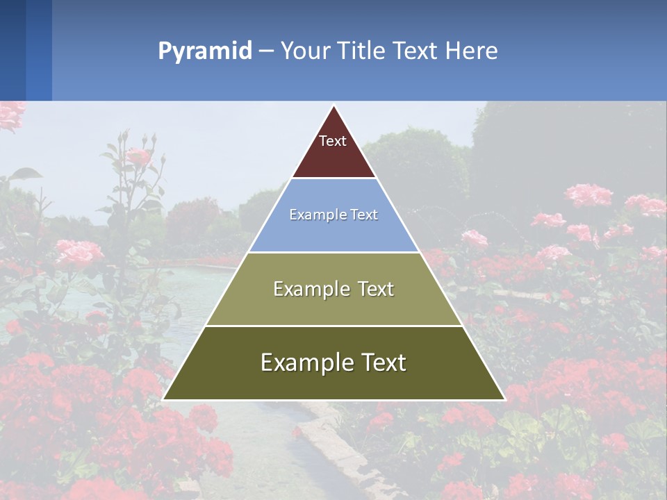 A Garden Filled With Lots Of Red Flowers PowerPoint Template