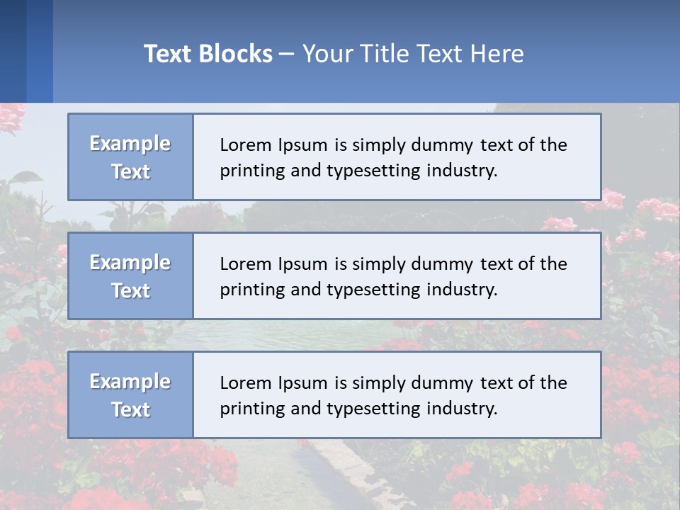 A Garden Filled With Lots Of Red Flowers PowerPoint Template
