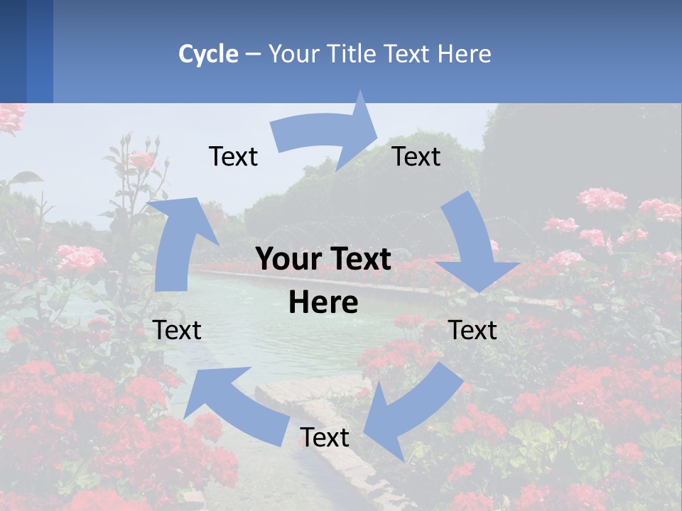 A Garden Filled With Lots Of Red Flowers PowerPoint Template