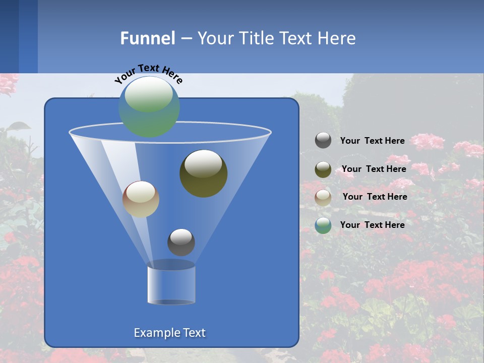 A Garden Filled With Lots Of Red Flowers PowerPoint Template