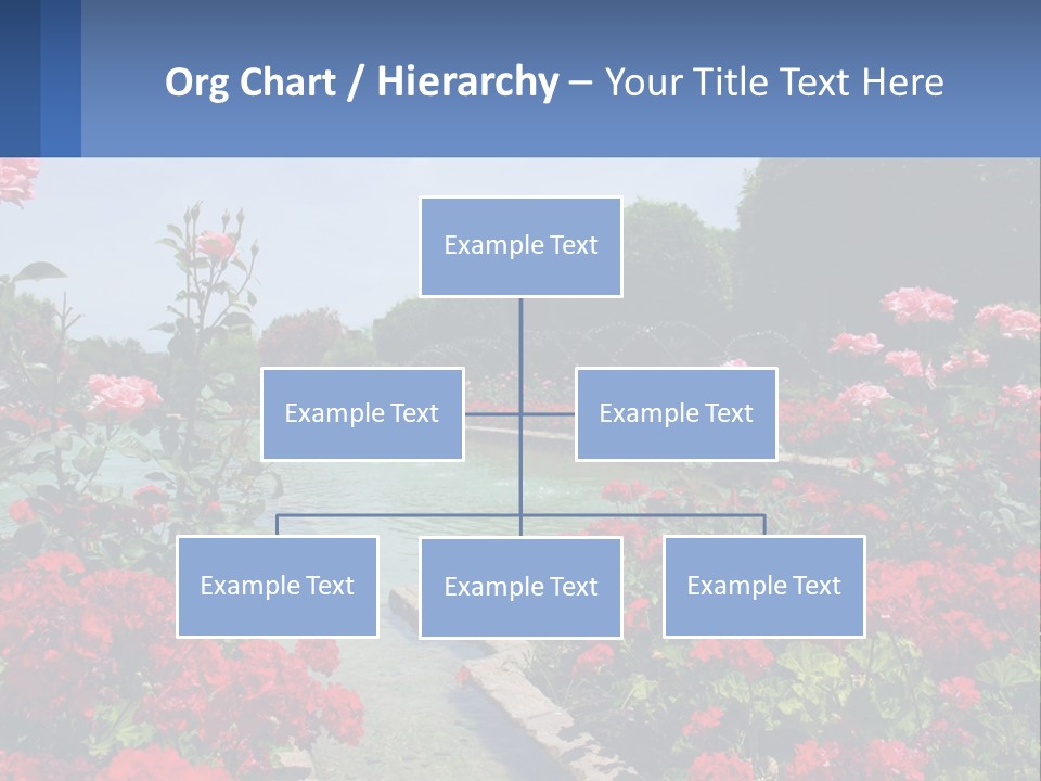 A Garden Filled With Lots Of Red Flowers PowerPoint Template