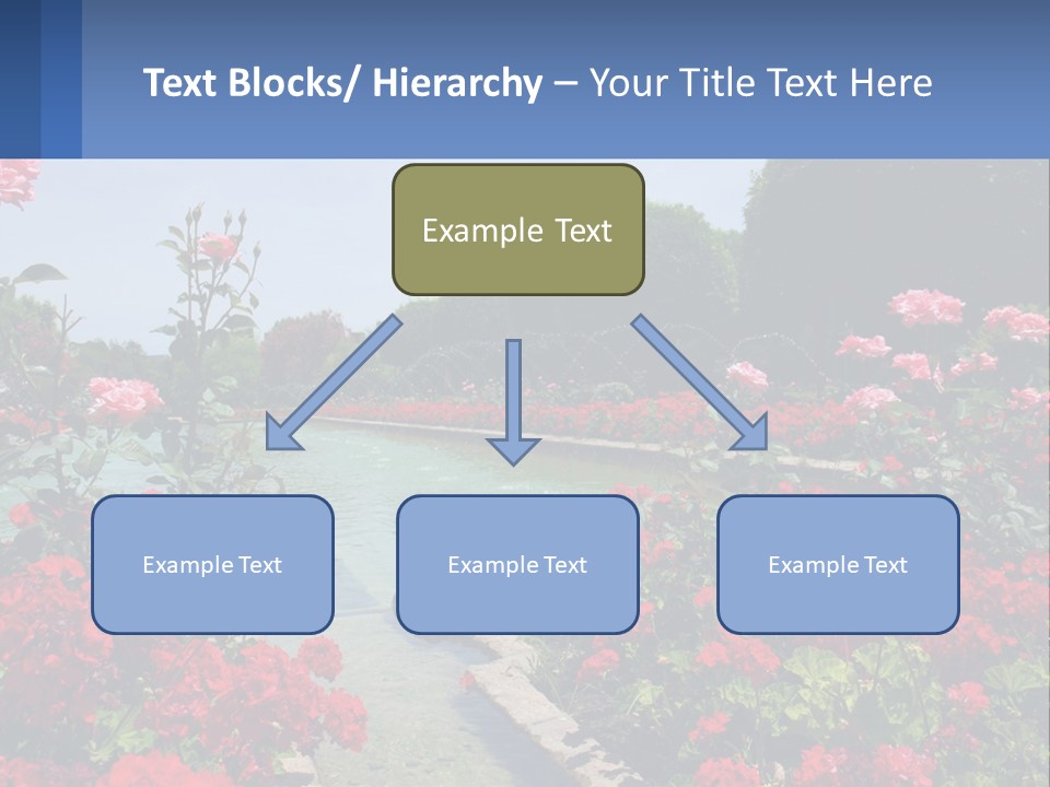 A Garden Filled With Lots Of Red Flowers PowerPoint Template