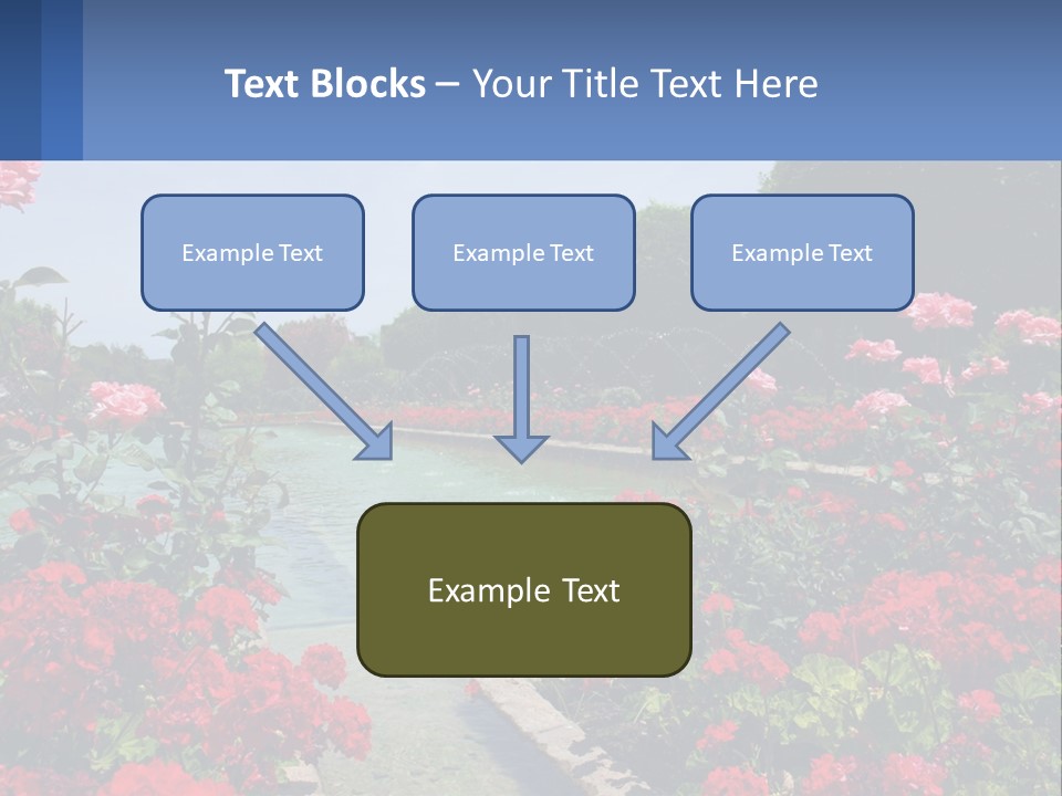 A Garden Filled With Lots Of Red Flowers PowerPoint Template