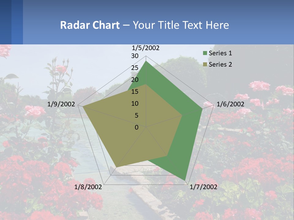 A Garden Filled With Lots Of Red Flowers PowerPoint Template