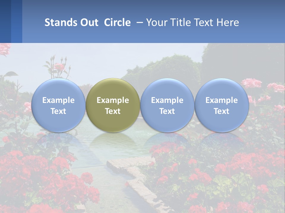 A Garden Filled With Lots Of Red Flowers PowerPoint Template