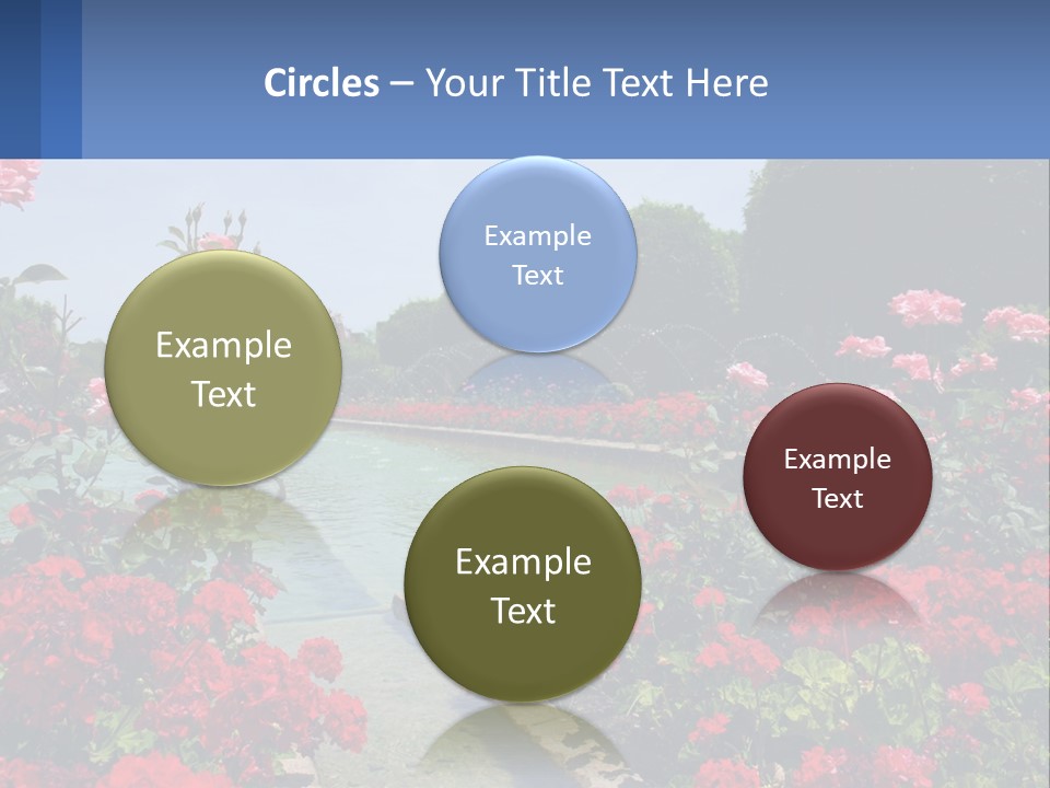 A Garden Filled With Lots Of Red Flowers PowerPoint Template