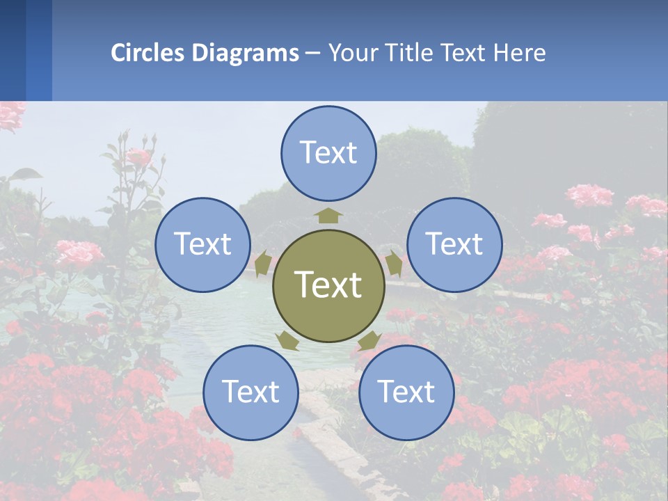 A Garden Filled With Lots Of Red Flowers PowerPoint Template