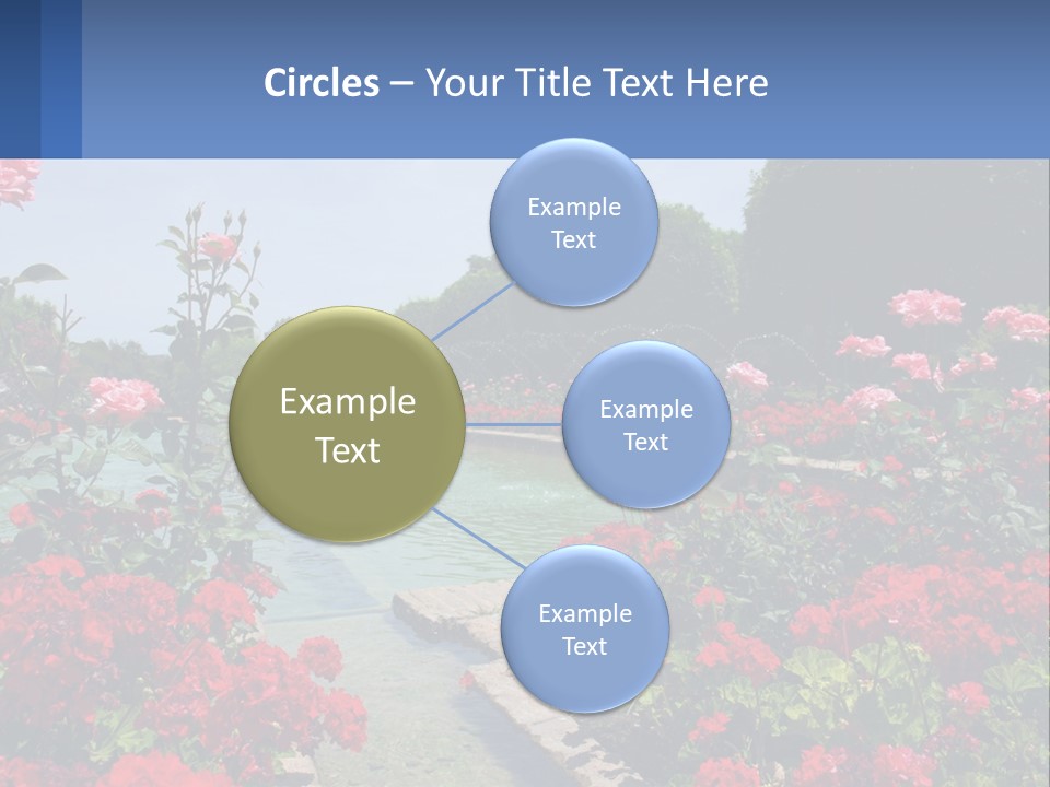 A Garden Filled With Lots Of Red Flowers PowerPoint Template