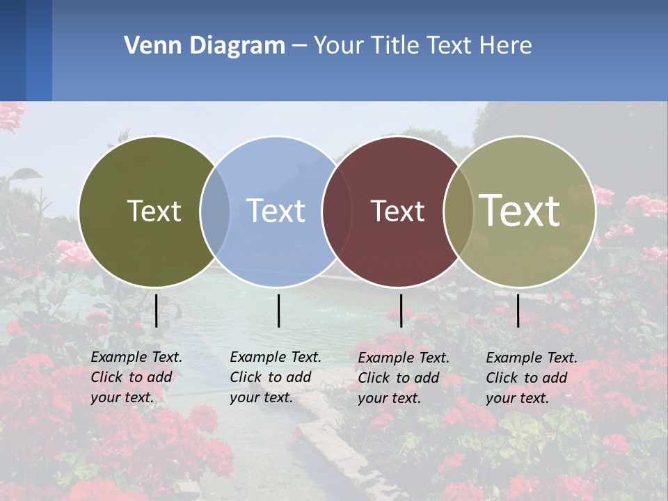 A Garden Filled With Lots Of Red Flowers PowerPoint Template