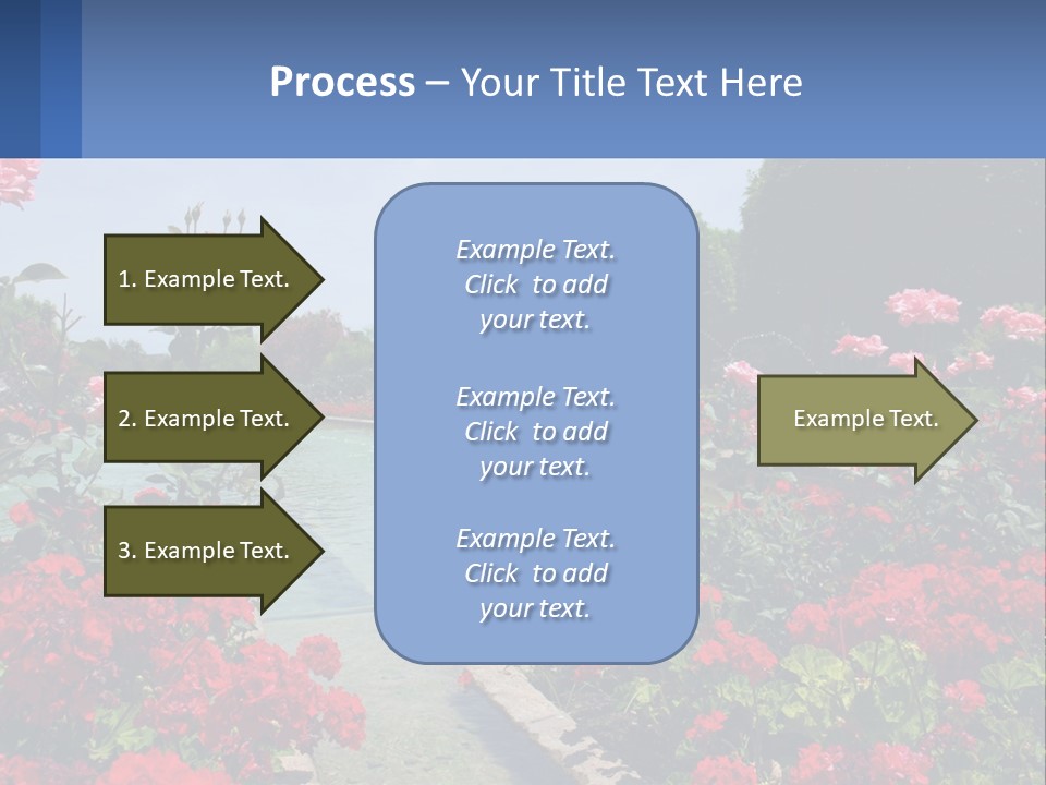 A Garden Filled With Lots Of Red Flowers PowerPoint Template