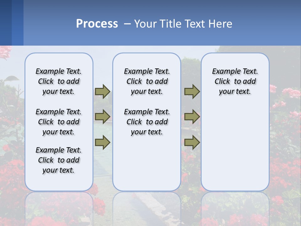 A Garden Filled With Lots Of Red Flowers PowerPoint Template