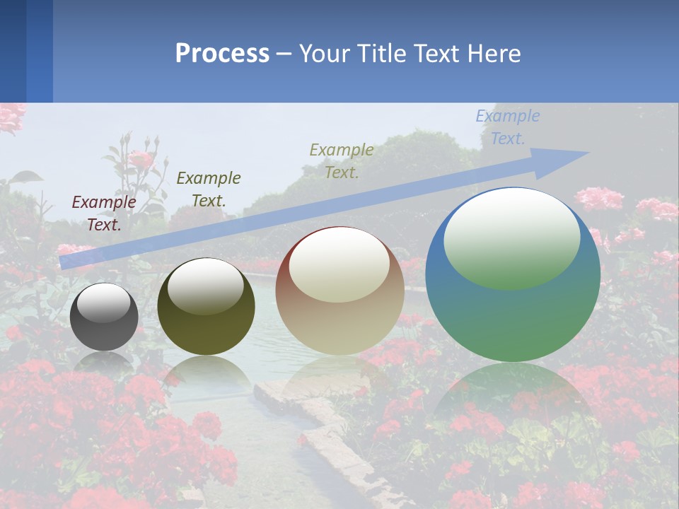 A Garden Filled With Lots Of Red Flowers PowerPoint Template