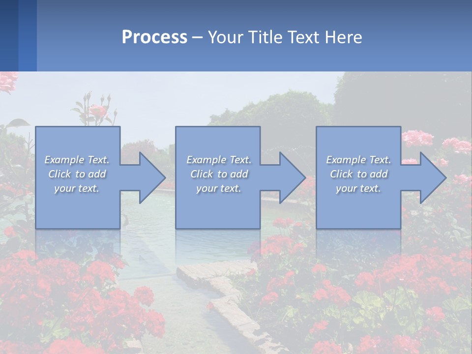 A Garden Filled With Lots Of Red Flowers PowerPoint Template