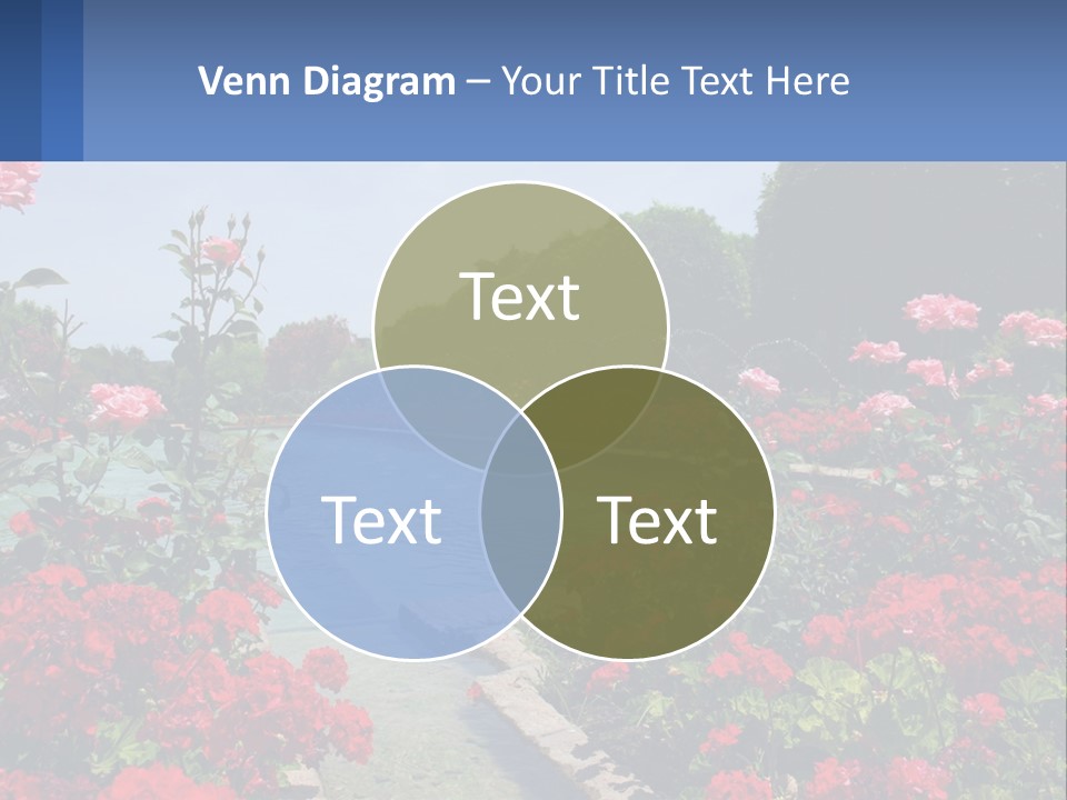 A Garden Filled With Lots Of Red Flowers PowerPoint Template