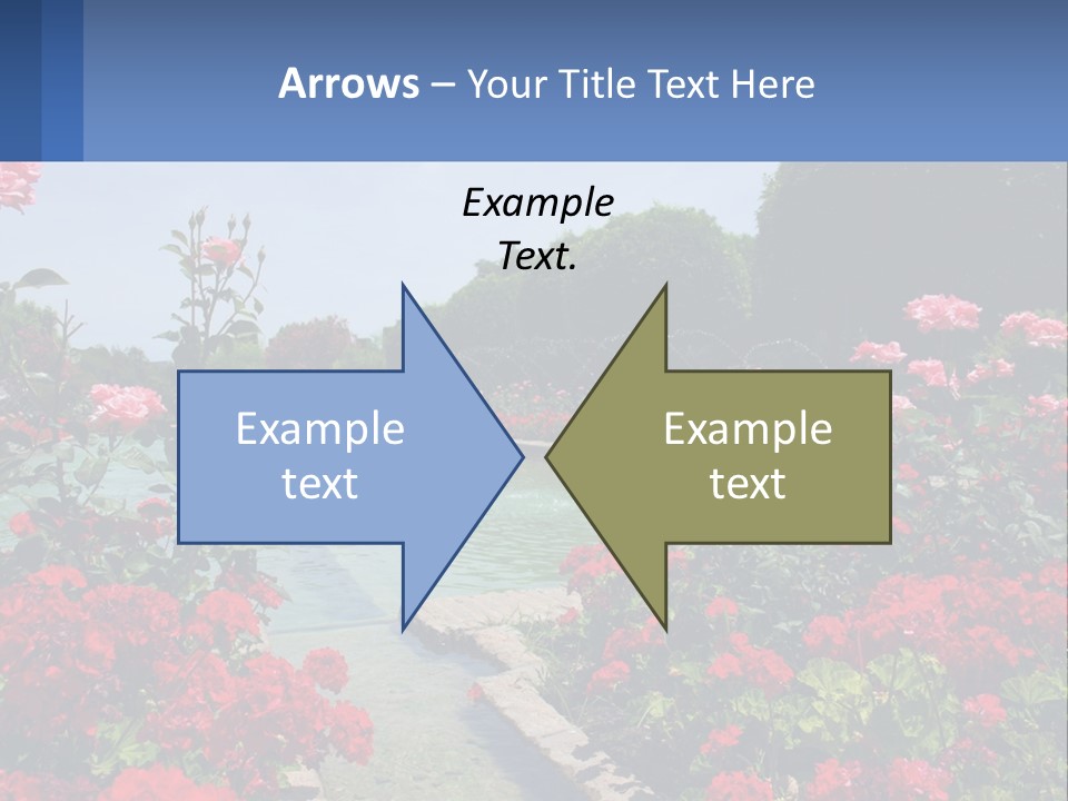 A Garden Filled With Lots Of Red Flowers PowerPoint Template