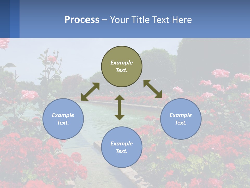 A Garden Filled With Lots Of Red Flowers PowerPoint Template